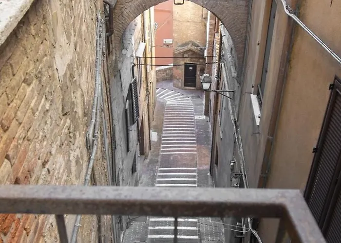 Luna Fashion Steps - Near Vannucci *